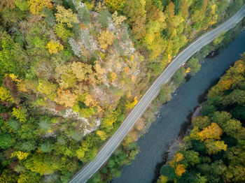 High angle view of road amidst trees during autumn