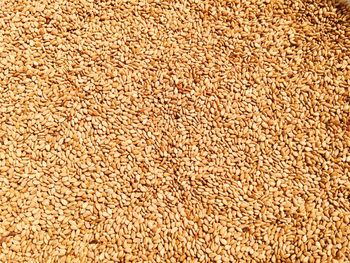 Full frame shot of sesame seeds