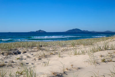 Scenic view of beach against clear blue sky