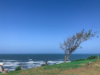 Scenic view of sea against clear blue sky