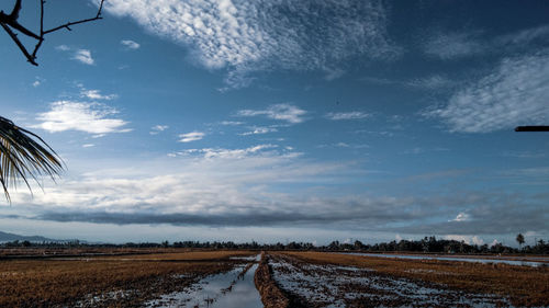 Scenic view of snowy field against sky during winter