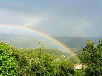 Rainbow over trees