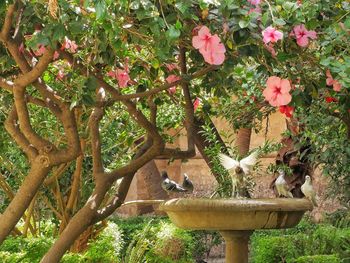 View of cat on tree