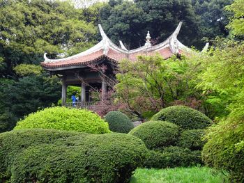 Plants growing in park