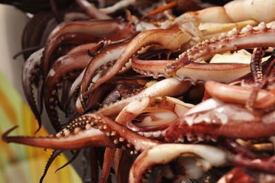 Close-up of crab in plate