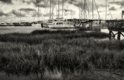 Sailboats moored at harbor against sky