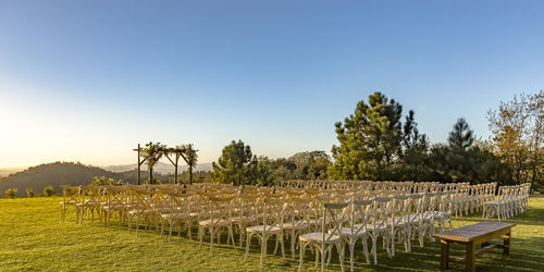 Plants growing on field against clear sky