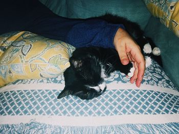 High angle view of cat sitting on bed at home