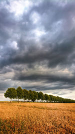 Scenic view of field against cloudy sky