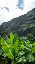 Scenic view of green mountains against sky