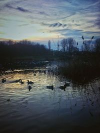 Scenic view of lake at sunset