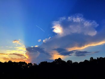 Low angle view of silhouette trees against sky during sunset