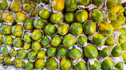 Close-up of fruits on tree