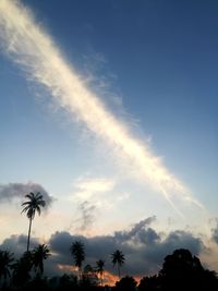 Low angle view of silhouette trees against sky