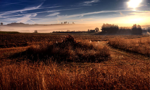 Scenic view of field against sky during sunset