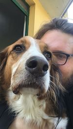 Close-up portrait of dog looking at camera