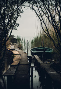 Boardwalk amidst trees against sky