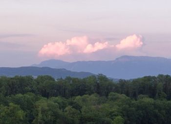 Scenic view of trees and mountains against sky