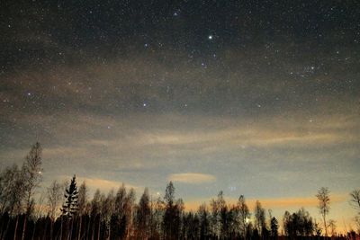 Low angle view of star field against star field