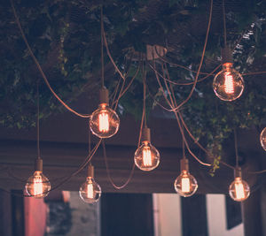 Illuminated light bulbs hanging from tree at night