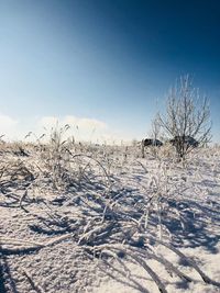 Scenic view of snow field against clear blue sky