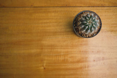 High angle view of bread on table