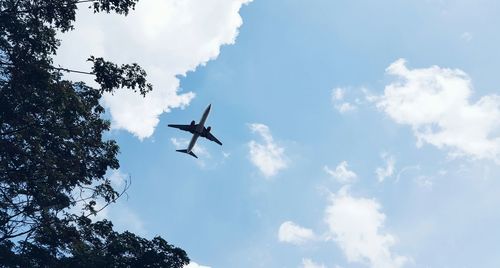 Low angle view of airplane flying against sky