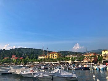 Sailboats moored at harbor against sky