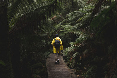 Rear view of woman walking on footbridge in forest