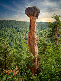 View of wooden post on land against sky