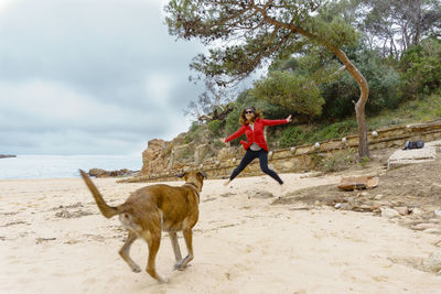 Full length of a dog on the beach