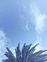 Low angle view of trees against sky