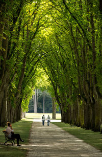 People walking on pathway in park