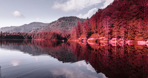 Scenic view of lake by trees against sky