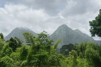 Scenic view of trees and mountains against sky