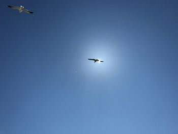 Low angle view of airplane flying in sky