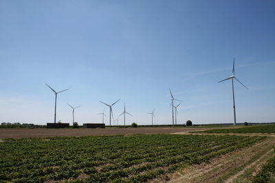 Windmills on field against sky