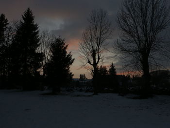 Bare trees on landscape at sunset