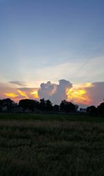 Scenic view of silhouette field against sky during sunset