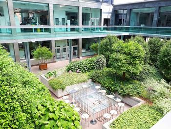 High angle view of potted plants in garden