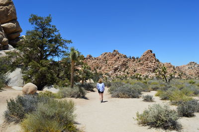 Rear view of man walking amidst trees against clear blue sky