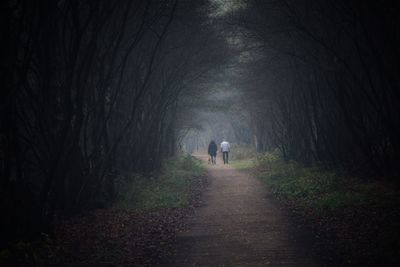 Rear view of man walking on footpath amidst trees in forest