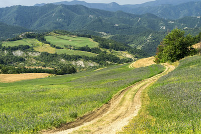 Scenic view of field against mountains