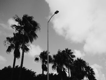 Low angle view of silhouette trees against sky