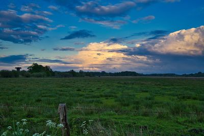 Scenic view of field against sky during sunset