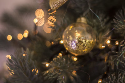 Close-up of illuminated christmas tree at night