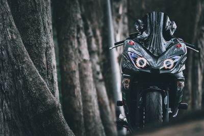 Close-up of bicycle on tree trunk