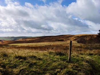 Scenic view of field against sky