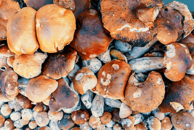 Full frame shot of pebbles on field