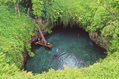 View over to sua ocean trench, natural swimming pool in upolu, samoa